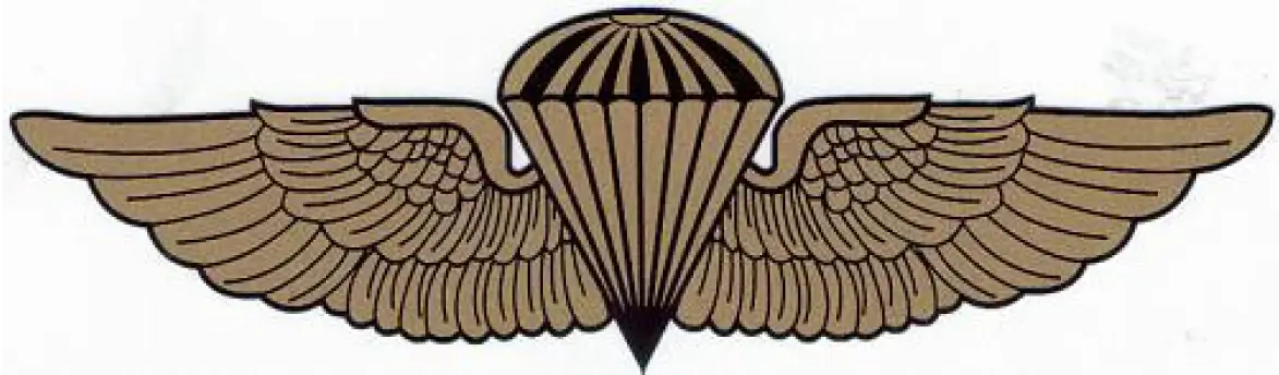 Image of Flight School Jump Bar pin