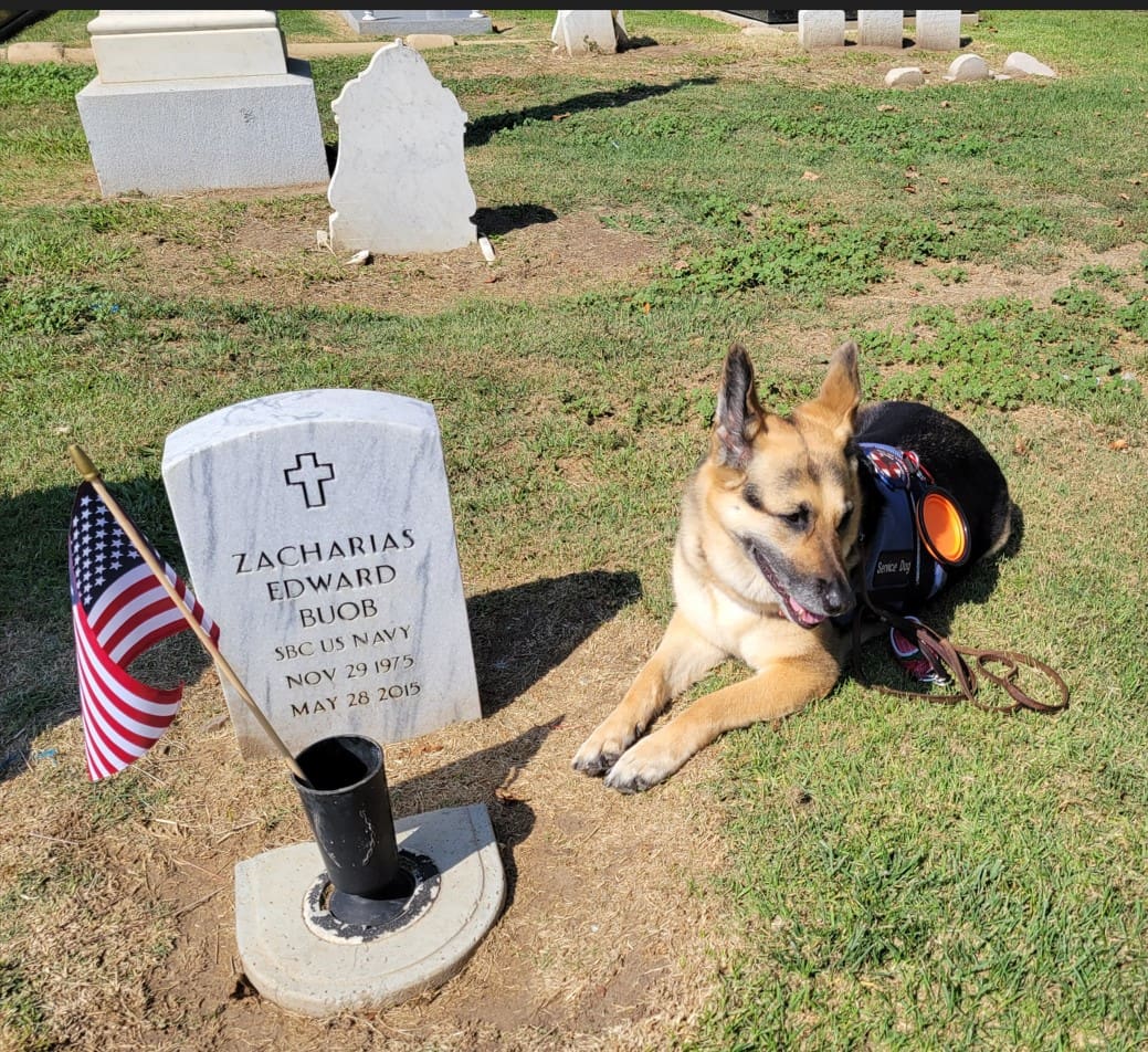 Photo of gravestone that reads Zacharias Edward Buob SBC US Navy May 28 2015. American flag in flower vase. Service dog, Sammy is laying next to Zach's gravesite.